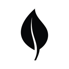 A simple leaf with a prominent central vein, pointed tip, and elegant curved form.