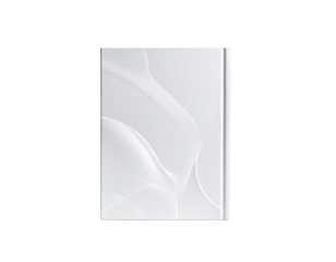 White swirls on off-white canvas framed by black