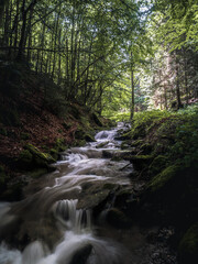 Obraz premium A gentle mountain stream cascades over moss-covered rocks in a lush forest. The long exposure captures the smooth motion of water surrounded by vibrant greenery and soft light.