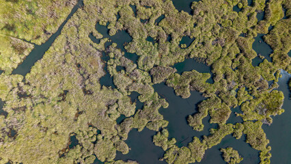 A bird's-eye view of Green Island on the lake