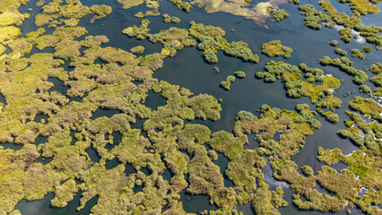 A bird's-eye view of Green Island on the lake