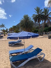Beach chairs in the shade of a palm tree on golden sand. Tropical seaside escape, summer holiday concept.