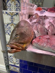 Large fresh fish displayed on a market stall. Raw seafood with shiny scales and natural texture, ideal for culinary, seafood, and market themes.
