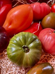 Tomatoes in various stages of ripeness—green to red—on a market stall. Fresh produce, farm harvest, and healthy food concept.