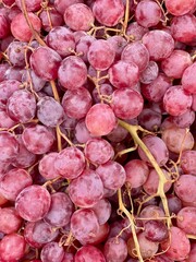 Ripe pink and purple grapes on display at a local market. Fresh, juicy fruit perfect for healthy eating, wine production, and organic food concepts.