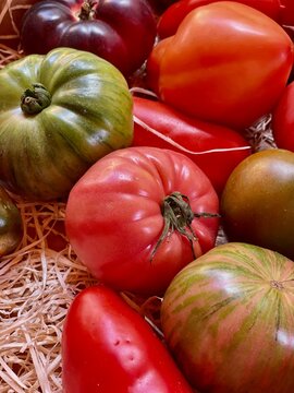 Fresh red and unripe green tomatoes at a street market. Natural, colorful vegetables perfect for healthy eating and organic lifestyle themes.