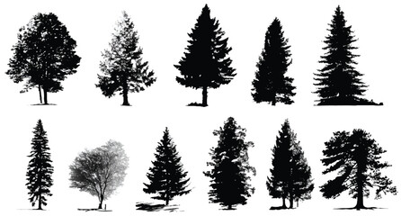 Fototapeta premium Diverse Tree Silhouettes Collection Isolated on White Background Showcasing Different Species and Shapes with Lush Foliage