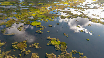 A bird's-eye view of Green Island on the lake
