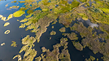 A bird's-eye view of Green Island on the lake