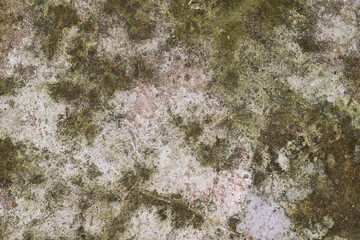 Distressed concrete surface with mossy growth for grunge style texture backgrounds and aged design elements