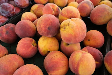 Ripe peaches in vibrant display