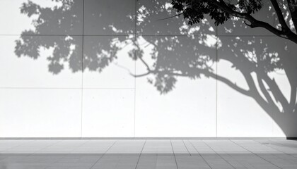 Tree Branch Shadows on White Wall Minimal Banner