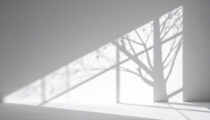 Tree Branch Shadows on White Wall Minimal Banner