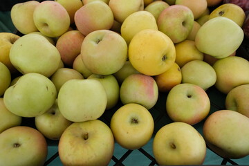 A crate brims with fresh apples in varying shades of pale green, yellow, and soft red blush.