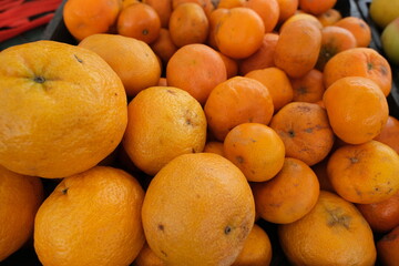 The image shows a close-up pile of oranges and tangerines in various shades of orange. Some fruits display minor blemishes or spots, adding to the natural, unprocessed look.