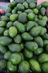 The image shows a large pile of avocados displayed on a market stand. The avocados are dark green with a slightly bumpy texture, typical of Hass or similar varieties.
