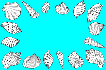 Seashells with copy space for design or message. Hand drawn illustration.