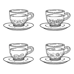 Set glass mugs of tea and saucer. Medicinal tea. Hand drawn vector illustration.