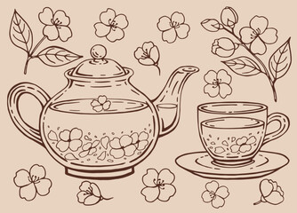 Tea set with glass teapot and cup, jasmine. Hand drawn vector illustration in outline style.