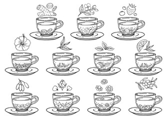 Set glass mugs of tea and saucer. Medicinal tea. Hand drawn vector illustration.