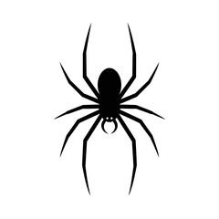 Obraz premium A simple black spider silhouette graphic icon isolated on a white background.