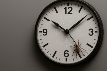 Spider on the dial of a spider web watch. Space for text.