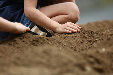 	野菜の種を植える子供たち