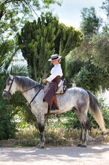 A young, attractive Spanish woman dressed in riding attire and wearing a traditional Spanish hat, riding a horse in the countryside on a sunny day. In the background, green vegetation.