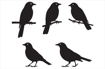 Fototapeta premium Myna bird silhouette bundle vector, illustration, design, icon, retro on white background.