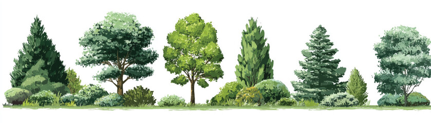 Row of diverse trees and bushes illustration with various shapes and green foliage for landscaping