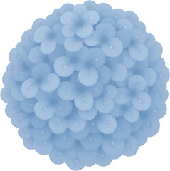 파란수국꽃일러스트_흰배경