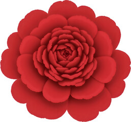 흰배경의_붉은_모란꽃_일러스트