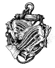 Two Striped Fish Hanging from Nautical Anchor with Rope and Chains Keywords: fish, anchor isolated on a transparent background