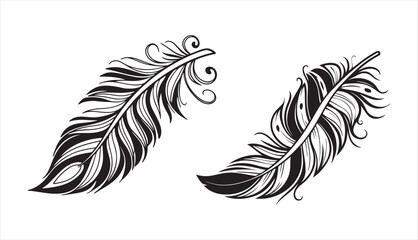 Feather vector illustration of black and white quill drawing with bird plume design elements