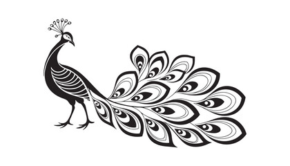 Peacock feather vector illustration with floral and ornamental design elements