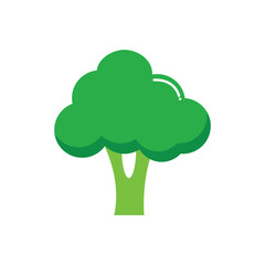 Broccoli flat vector illustration isolated on white background