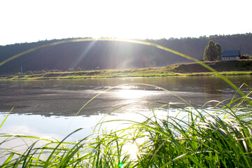 river and trees waves of mud and water lilies