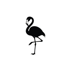 Elegant flamingo standing on one leg silhouette