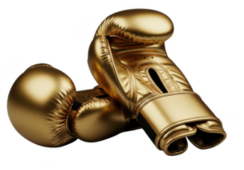 Golden boxing gloves equipment isolated on transparent background