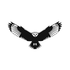 Barn owl in flight silhouette