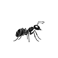 Black ant silhouette on white background