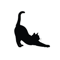 Black cat stretching silhouette