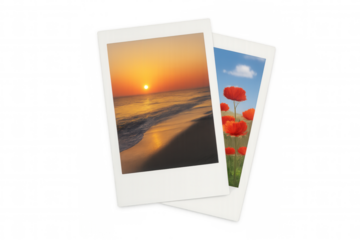 Instant film prints displaying sunset beach landscape and red poppies field, recollecting travel memories and vacation moments
