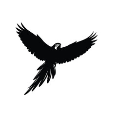 Black silhouette of a macaw in flight silhouette