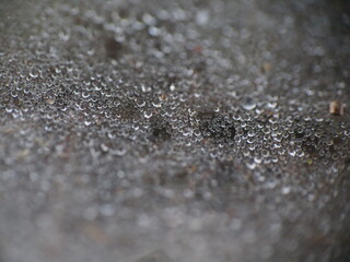 drops of water