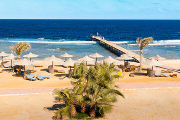 Obraz premium Resort sandy beach with sunbeds and umbrellas, palm trees, diving pier on sunny day, Marsa Alam, Egypt