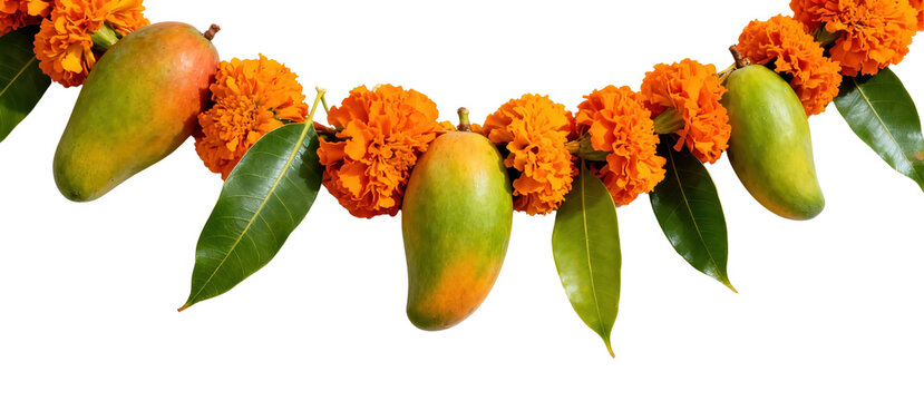 Traditional toran of marigolds and mango leaves, isolated on transparent background with no shadow. Ready Diwali doorway decor for posters, invitations, banners, classroom guides, and ads.