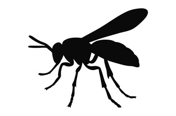 Wasp silhouette vector, Bee silhouette vector