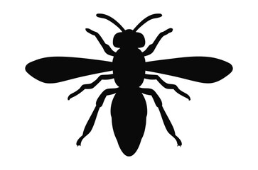 Wasp silhouette vector, Bee silhouette vector