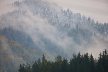 Foggy mountain slope with conifer and autumn trees